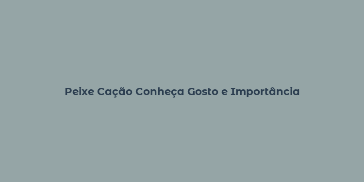 Peixe Cação Conheça Gosto e Importância