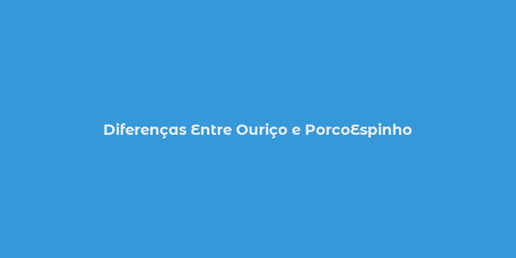 Diferenças Entre Ouriço e PorcoEspinho