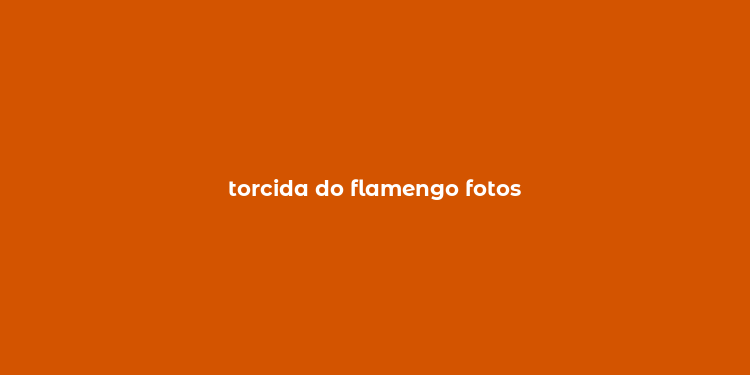 torcida do flamengo fotos