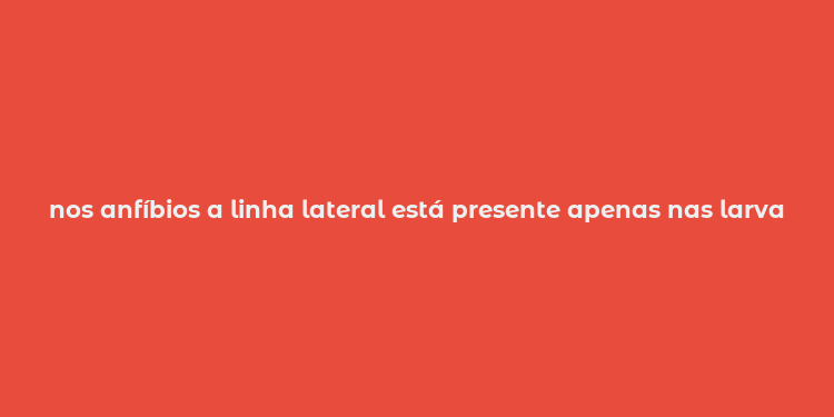 nos anfíbios a linha lateral está presente apenas nas larvas