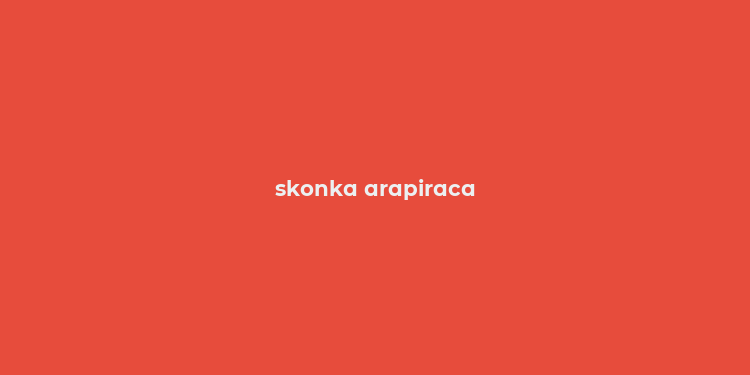 skonka arapiraca