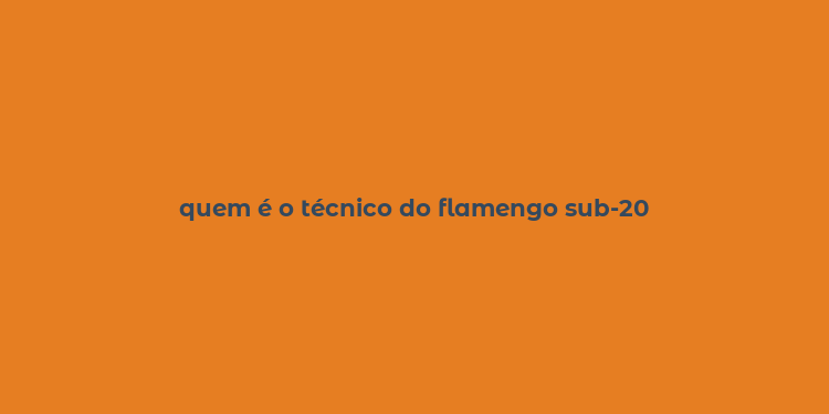 quem é o técnico do flamengo sub-20