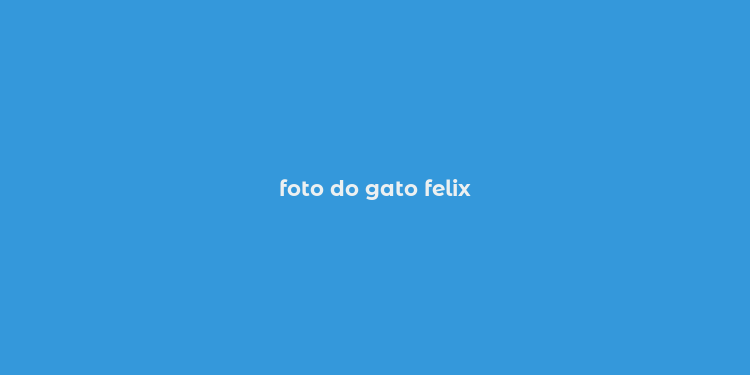 foto do gato felix