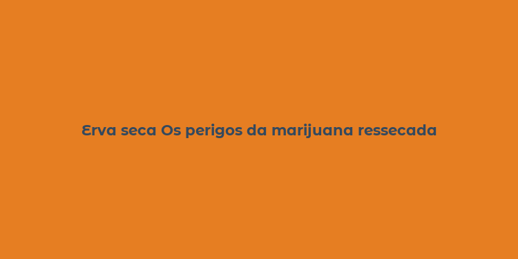 Erva seca Os perigos da marijuana ressecada