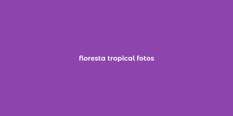 floresta tropical fotos