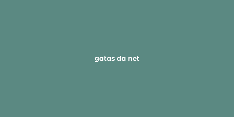 gatas da net