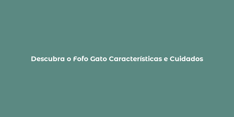 Descubra o Fofo Gato Características e Cuidados