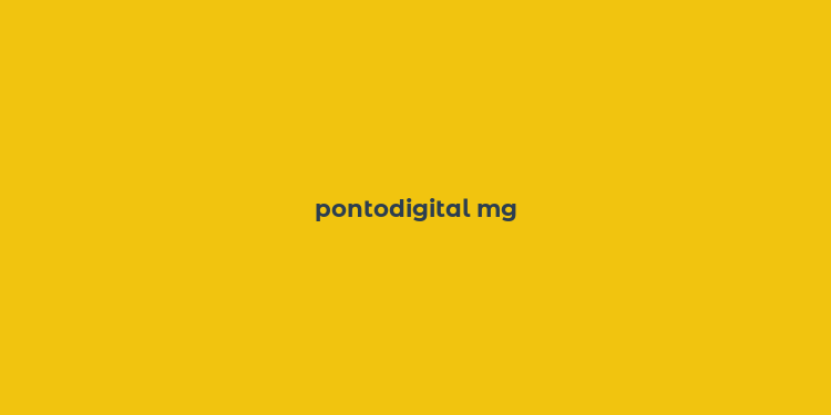 pontodigital mg