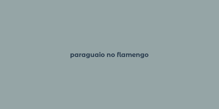 paraguaio no flamengo