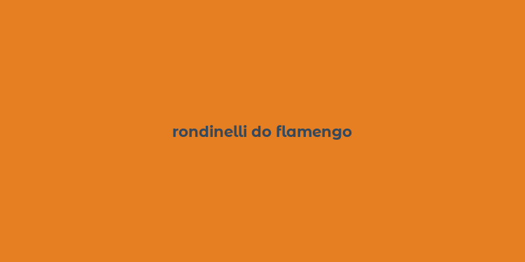 rondinelli do flamengo