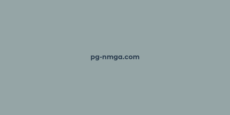 pg-nmga.com