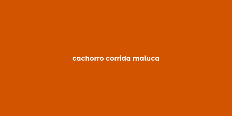 cachorro corrida maluca