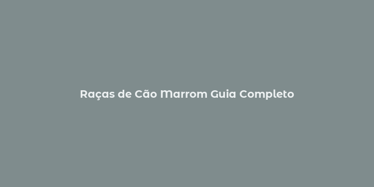 Raças de Cão Marrom Guia Completo