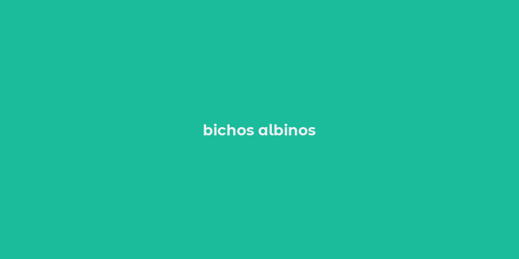 bichos albinos