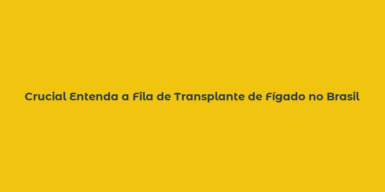 Crucial Entenda a Fila de Transplante de Fígado no Brasil