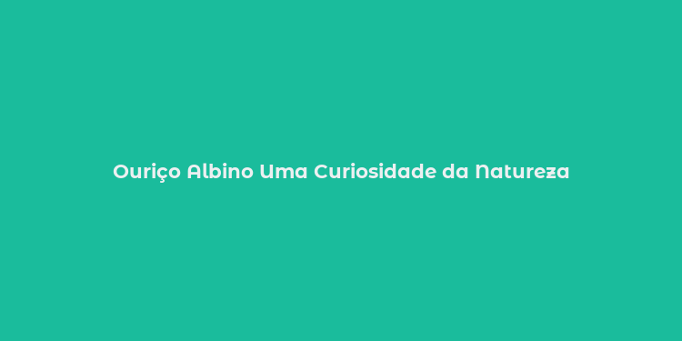 Ouriço Albino Uma Curiosidade da Natureza