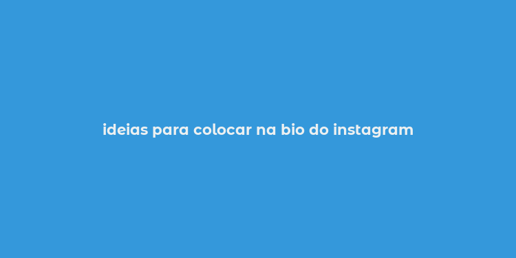 ideias para colocar na bio do instagram