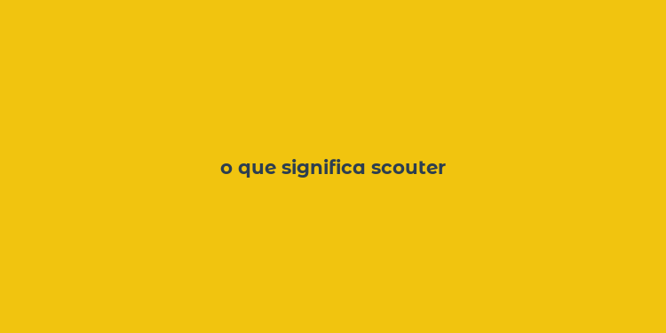 o que significa scouter