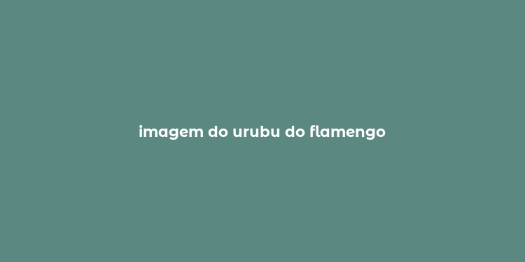 imagem do urubu do flamengo