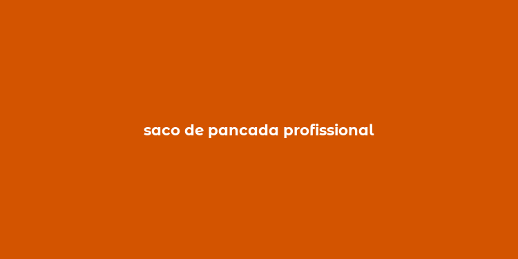 saco de pancada profissional