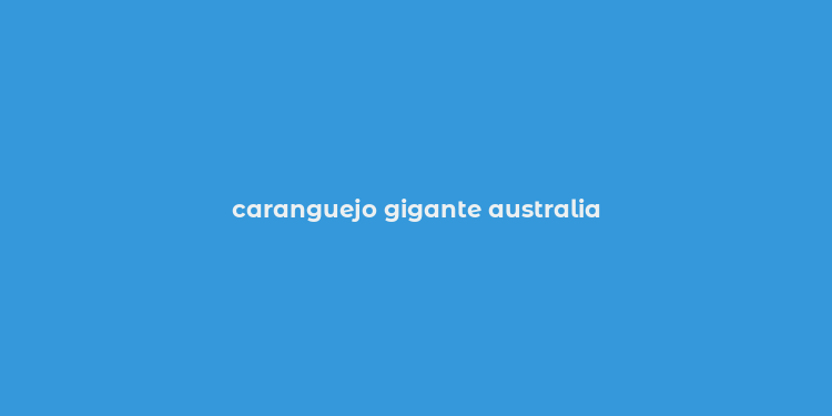 caranguejo gigante australia