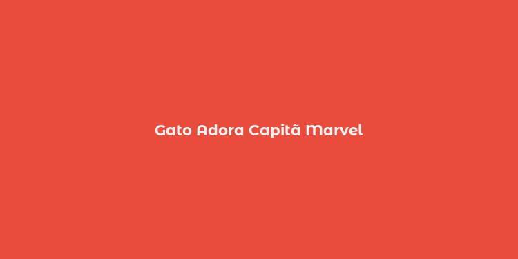 Gato Adora Capitã Marvel