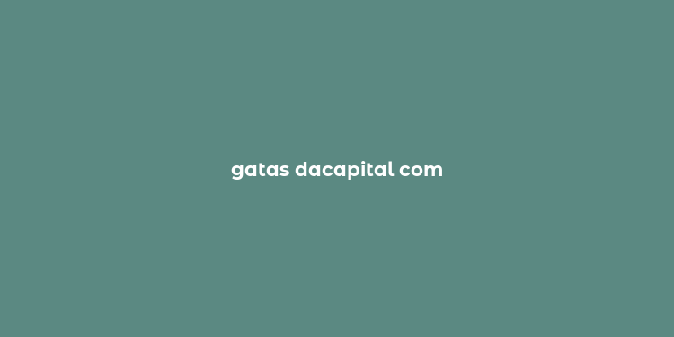 gatas dacapital com