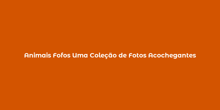 Animais Fofos Uma Coleção de Fotos Acochegantes