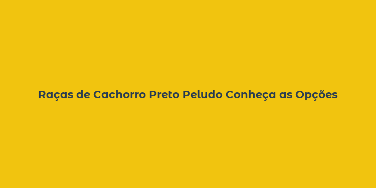 Raças de Cachorro Preto Peludo Conheça as Opções