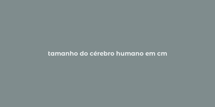 tamanho do cérebro humano em cm