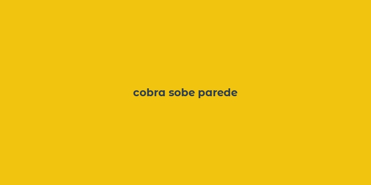 cobra sobe parede