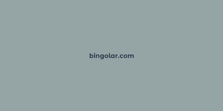 bingolar.com