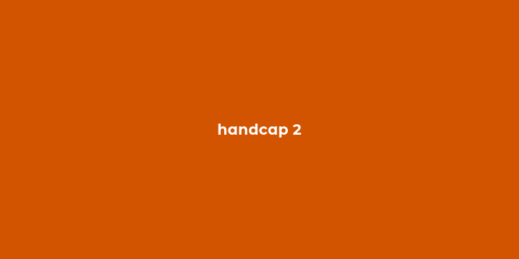 handcap 2