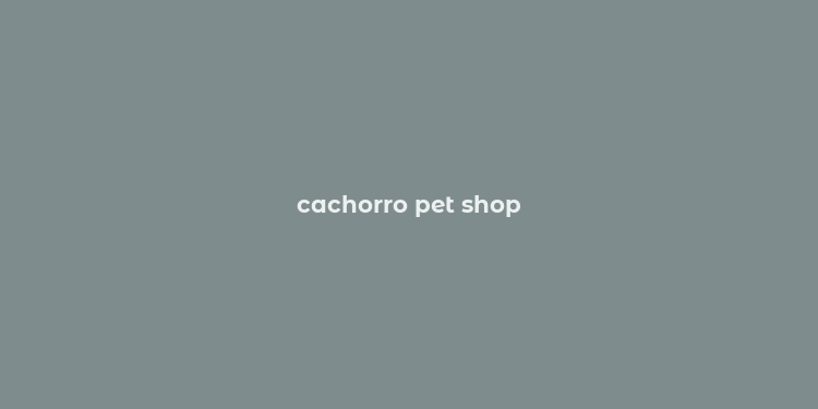 cachorro pet shop