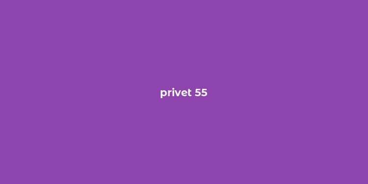 privet 55