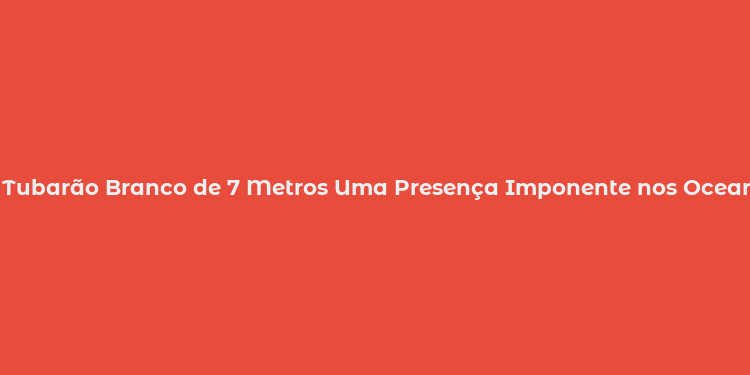 Tubarão Branco de 7 Metros Uma Presença Imponente nos Oceanos