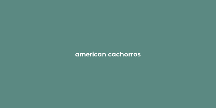 american cachorros