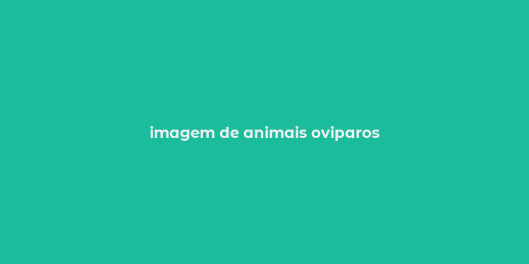 imagem de animais oviparos