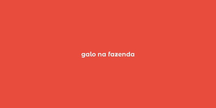 galo na fazenda