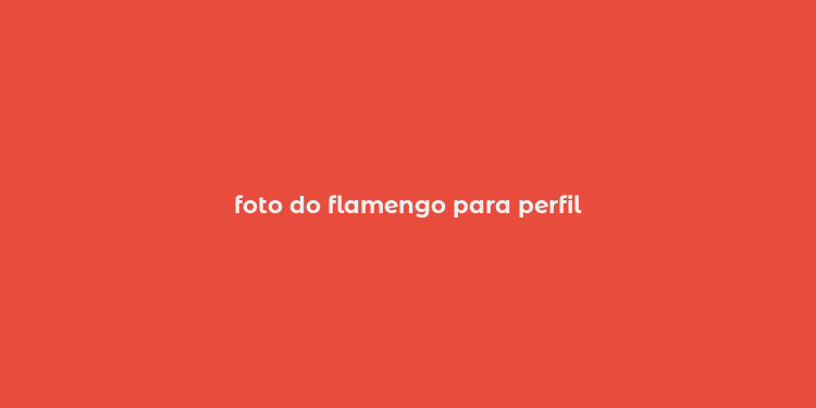 foto do flamengo para perfil