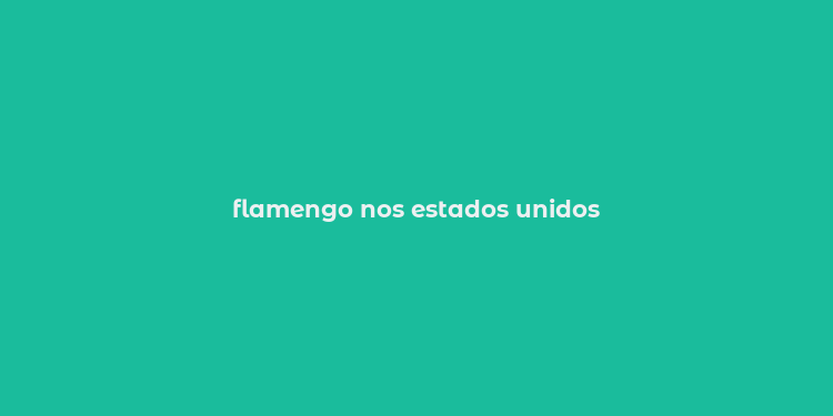 flamengo nos estados unidos