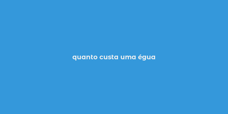 quanto custa uma égua