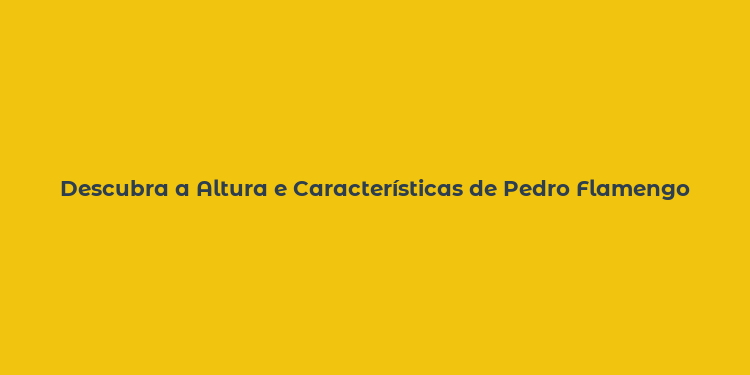 Descubra a Altura e Características de Pedro Flamengo