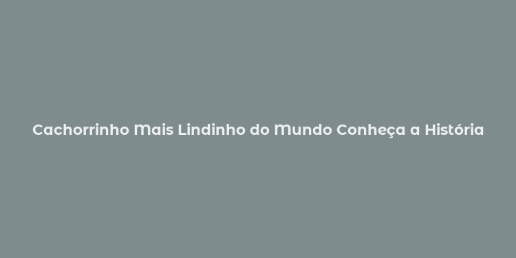 Cachorrinho Mais Lindinho do Mundo Conheça a História