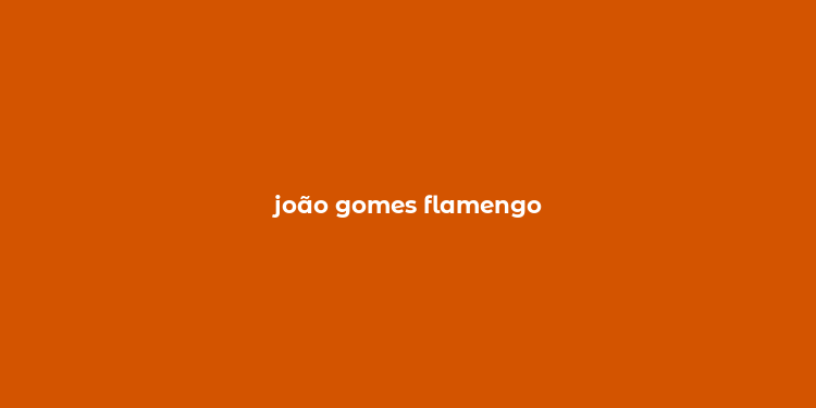 joão gomes flamengo