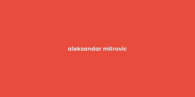 aleksandar mitrovic