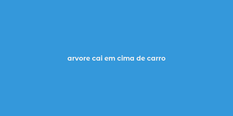 arvore cai em cima de carro