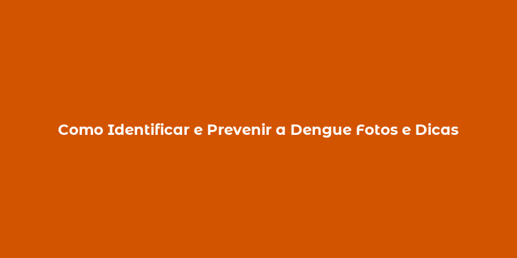 Como Identificar e Prevenir a Dengue Fotos e Dicas