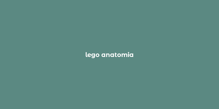 lego anatomia