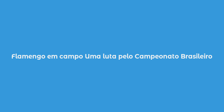 Flamengo em campo Uma luta pelo Campeonato Brasileiro